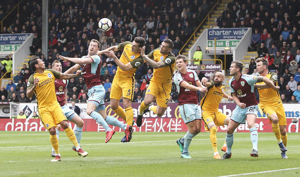 球运动员的 球运动员的